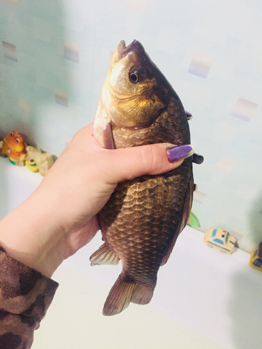 Это ещё маленький :)