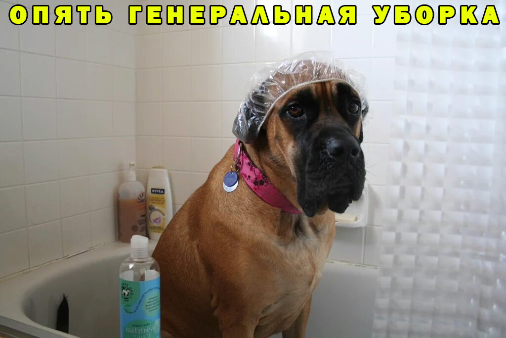 Нормальные знают, что такое ответственность