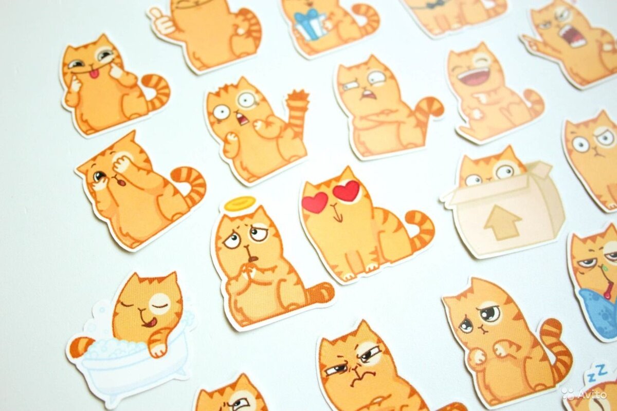 Фото: thequestion.ru