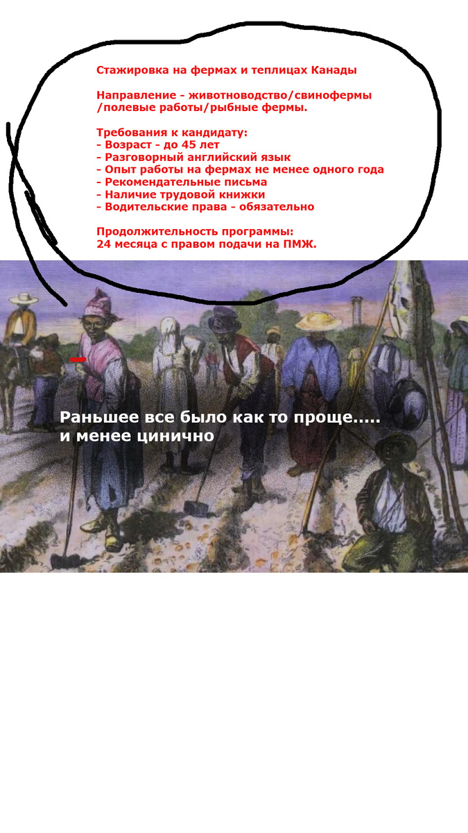 Коллаж автора