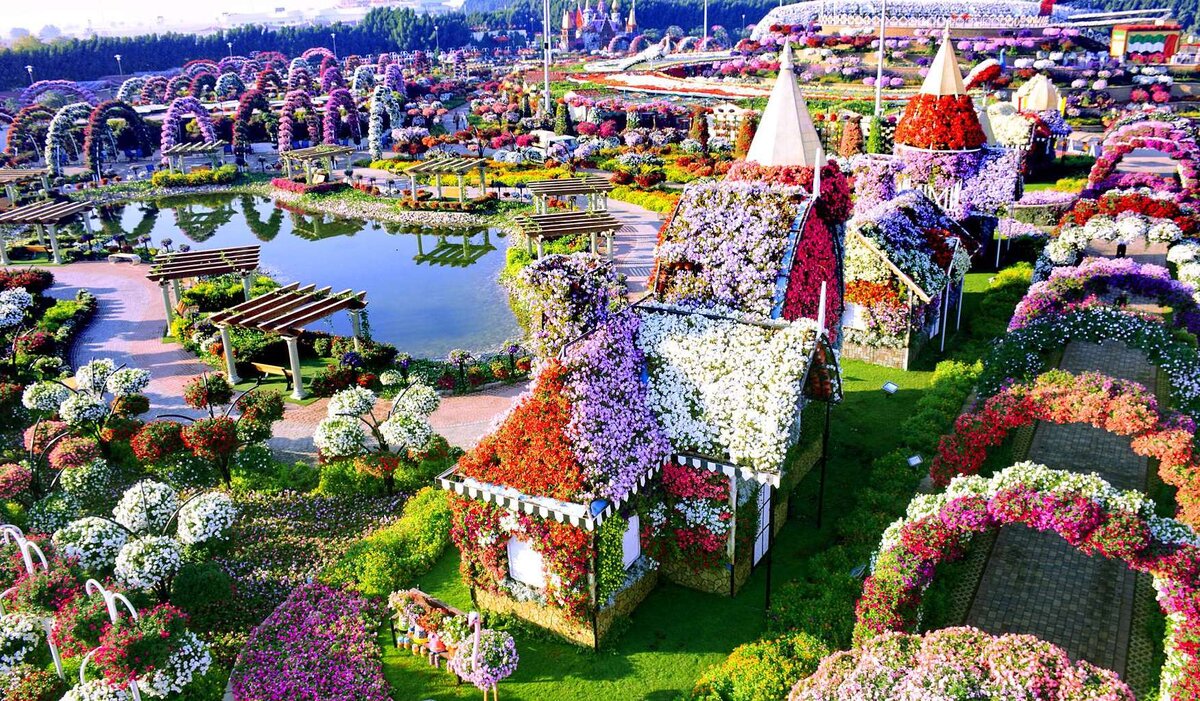 ДУБАИ. Парк цветов Miracle Garden