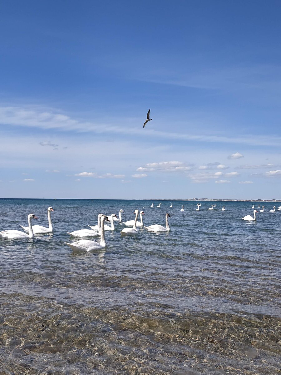 Анапа. Чёрное море.