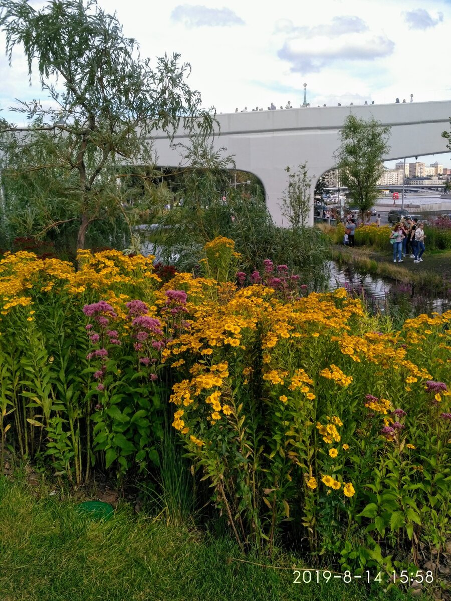 Под Парящим мостом, парк Зарядье