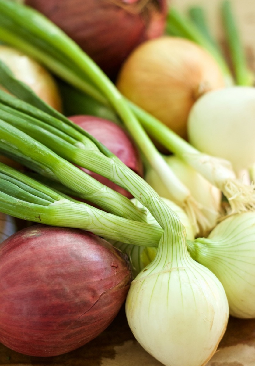 Знахарь одобряет! Подпишись)