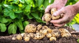 артинкК1 картинка в галерееСохранитьОтменаДобавить картинку