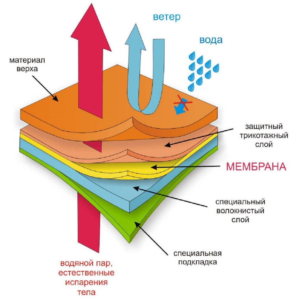 Все о мембране! | Тасин Взгляд | Дзен