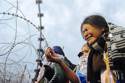 картинка с сайта lenta.ru