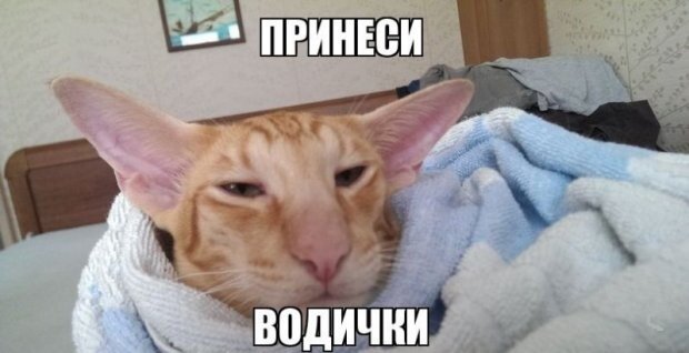 Узнал себя?