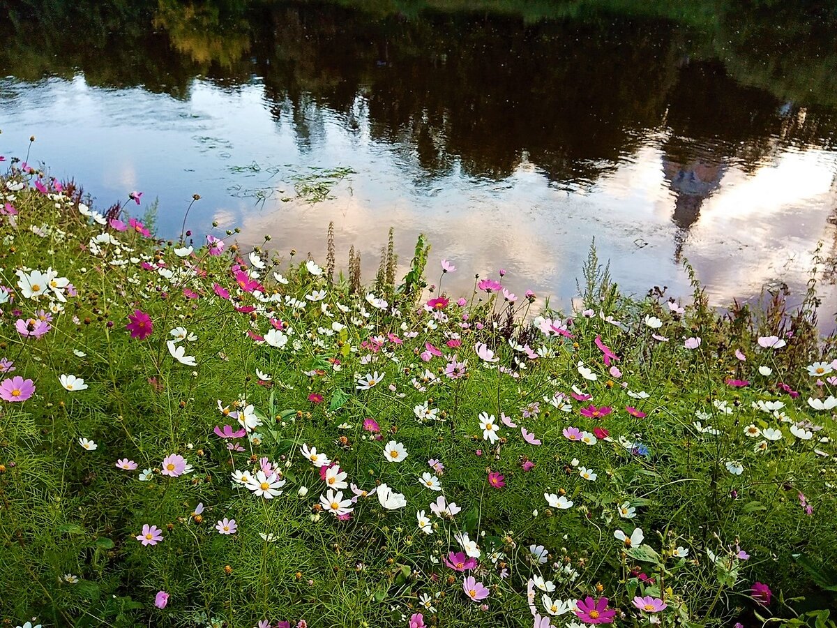 Разноцветный бережок