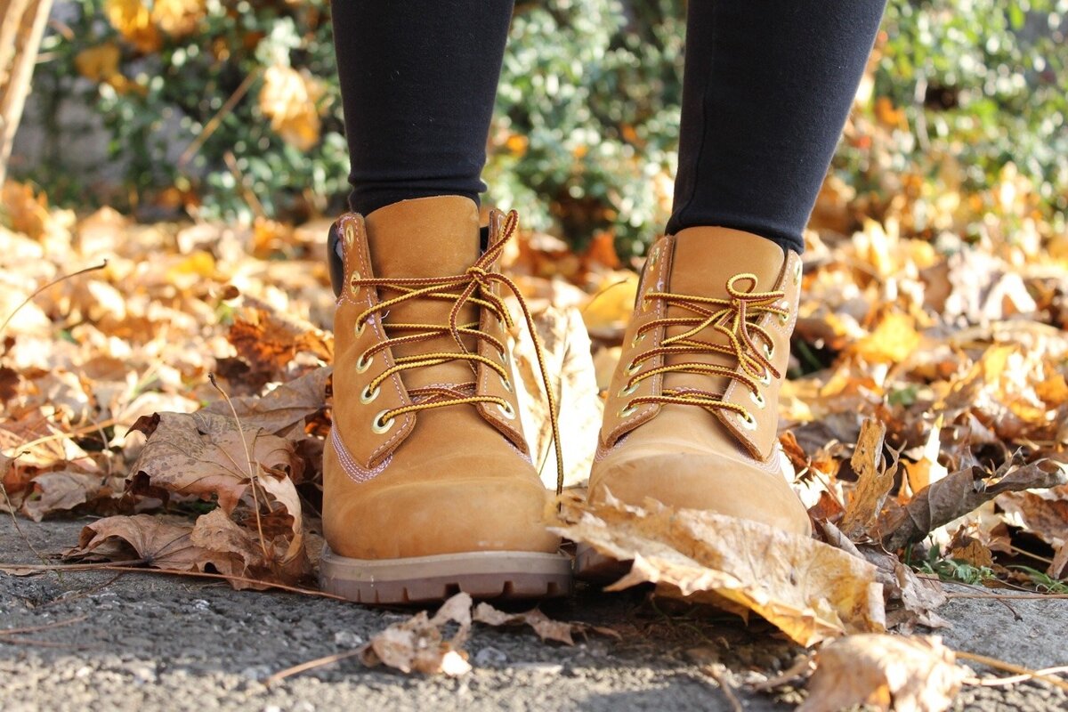 Timberland women Boots осень