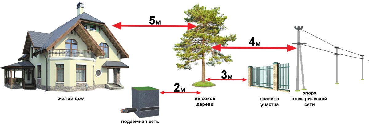 На каком расстоянии должен располагаться. Нормы высадки деревьев от забора. Нормативы строительства частного дома. Нормы застройки участка. Посадка деревьев на участке нормы.