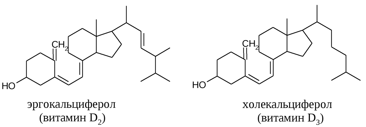 Итак, начали!