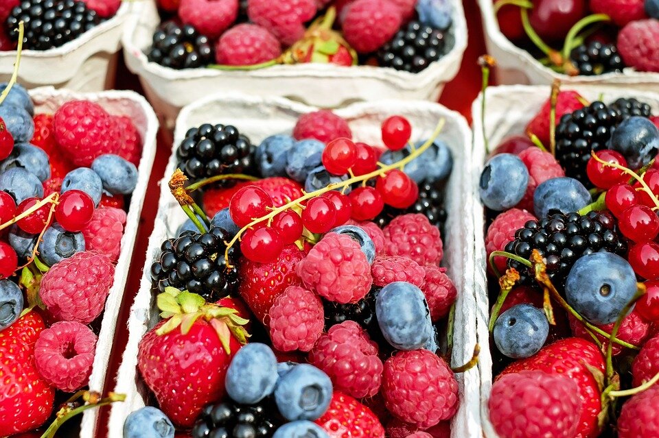 https://cdn.pixabay.com/photo/2016/07/27/20/03/berries-1546125_960_720.jpg