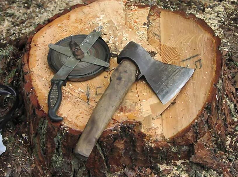 Фото – 0412city.com