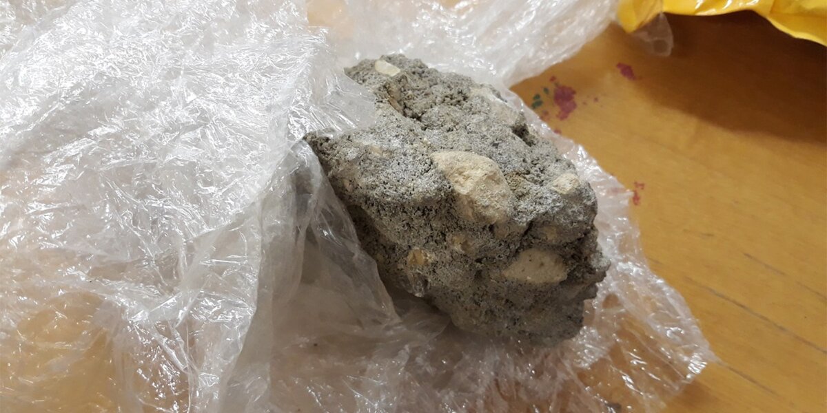 Фото: предоставлено героем материала