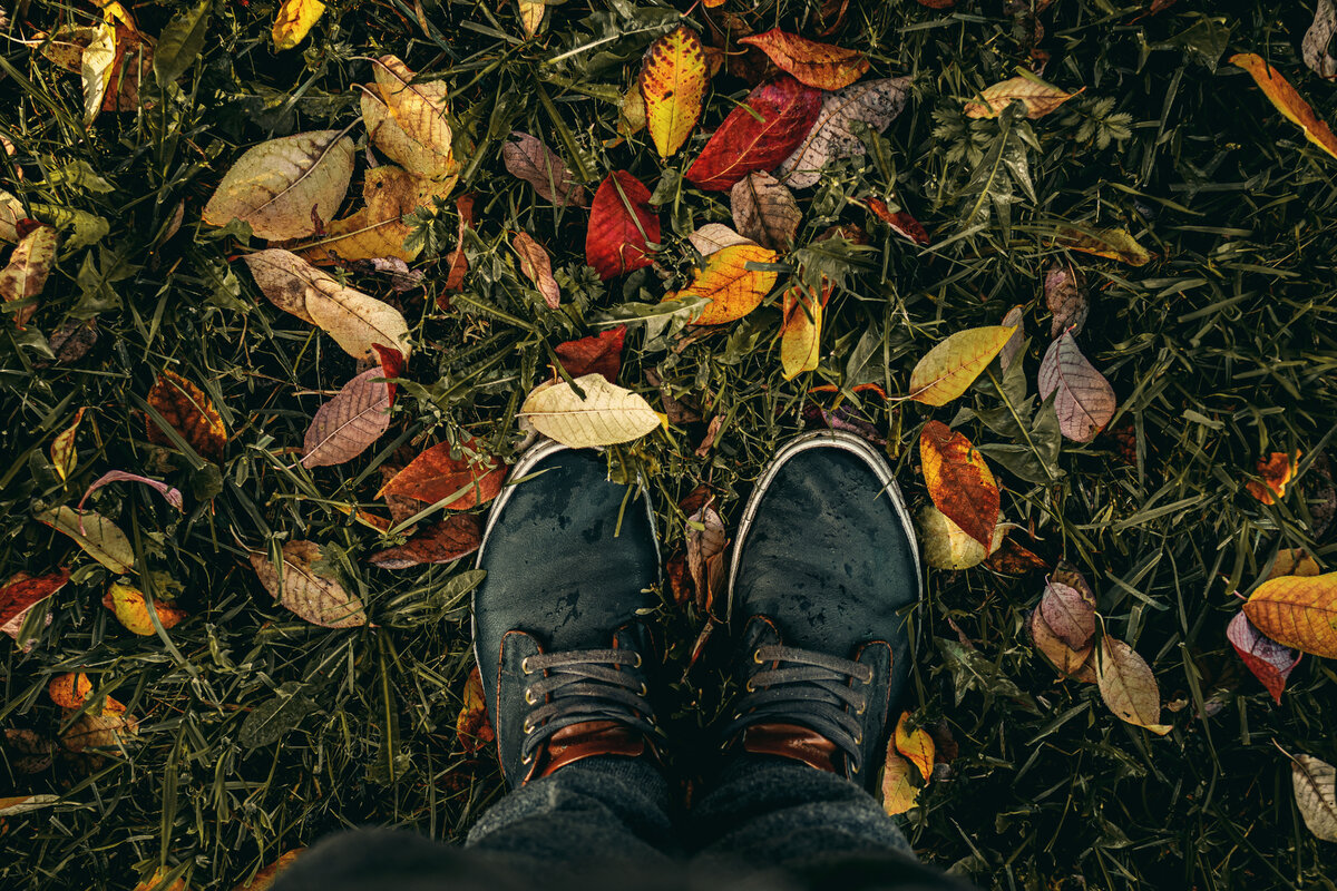 https://freephotos.cc/ru/shoes-for-autumn#2948260