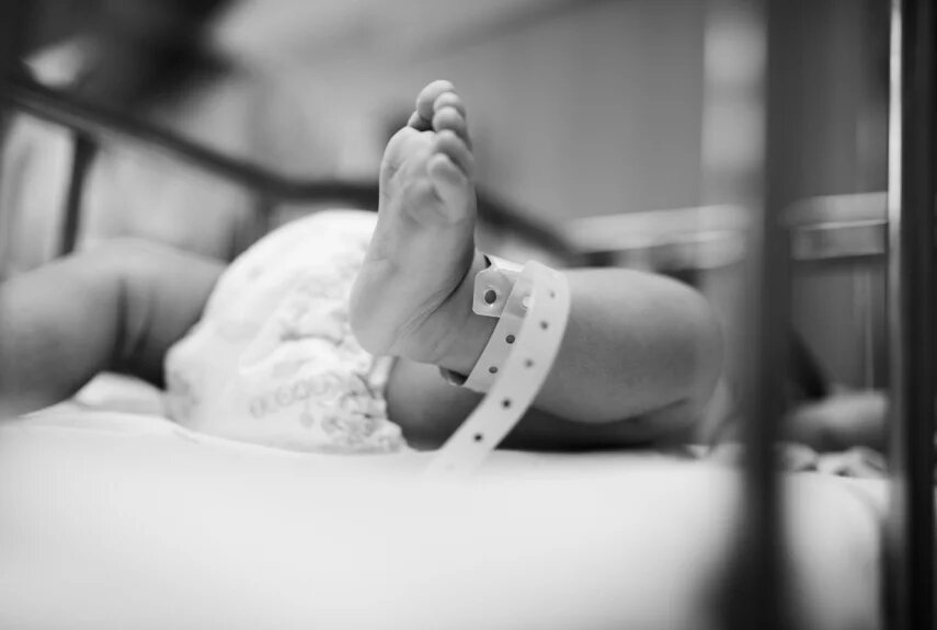 Фото: pixabay.com