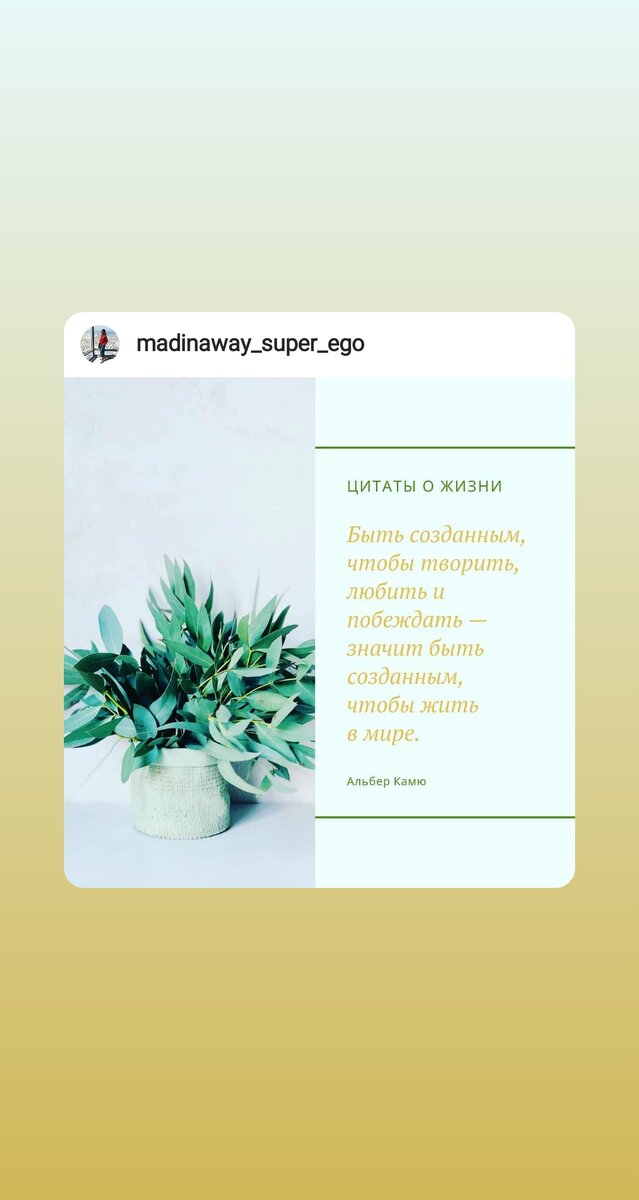 🔰Master Kit не стоит на месте, а постоянно совершенствуется и улучшается. В мае 2019 года вышла новая версия методики  Master Kit, где есть деление на уровни, а также новые обучающие видео от автора Дарьи Трутневой. ✳Если после прохождения обучения у Вас все еще остались вопросы, то приходите на брифинг, чтобы узнать:
❇ в чем уникальность каждого уровня;
❇ как прорабатываться в новых тренажерах;
❇ что такое  глубина нормы и самооценки;
❇ как не выпадать из осознанности;
❇ как перестать сопротивляться изменениям и результатам в работе с методикой;
❇ как ускориться в получении результатов;

#подсознаниеможетвсе🙏👌⭐️ #подсознаниечеловека #семейнаяпсихология #позитивнаяпсихология #подсознаниможетвсе #подсознание_знает_все #работадлямам #работавсети #удаленнаяработа #работавдекрете #психологияуспеха  #подсознаниерулит #подсознаниеиденьги
Подробности о том, как работает эта программа, для каких целей ее можно использовать и подойдет ли она лично вам.⤵️⤵️⤵️
По ссылке taplink у меня в шапке профиля или ⤵️⤵️⤵️
☎️+77017208571