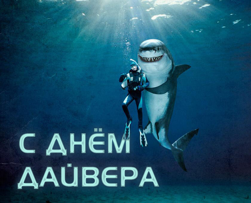 Источник: ЯК