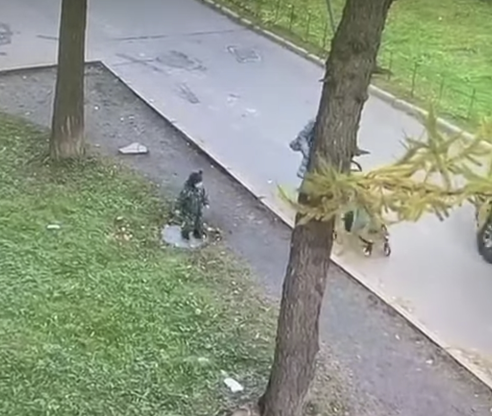 Скриншот с видео с камер наблюдения