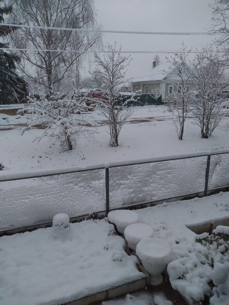 И это выпало за одну ночь. И еще целый день снег идет и идет!