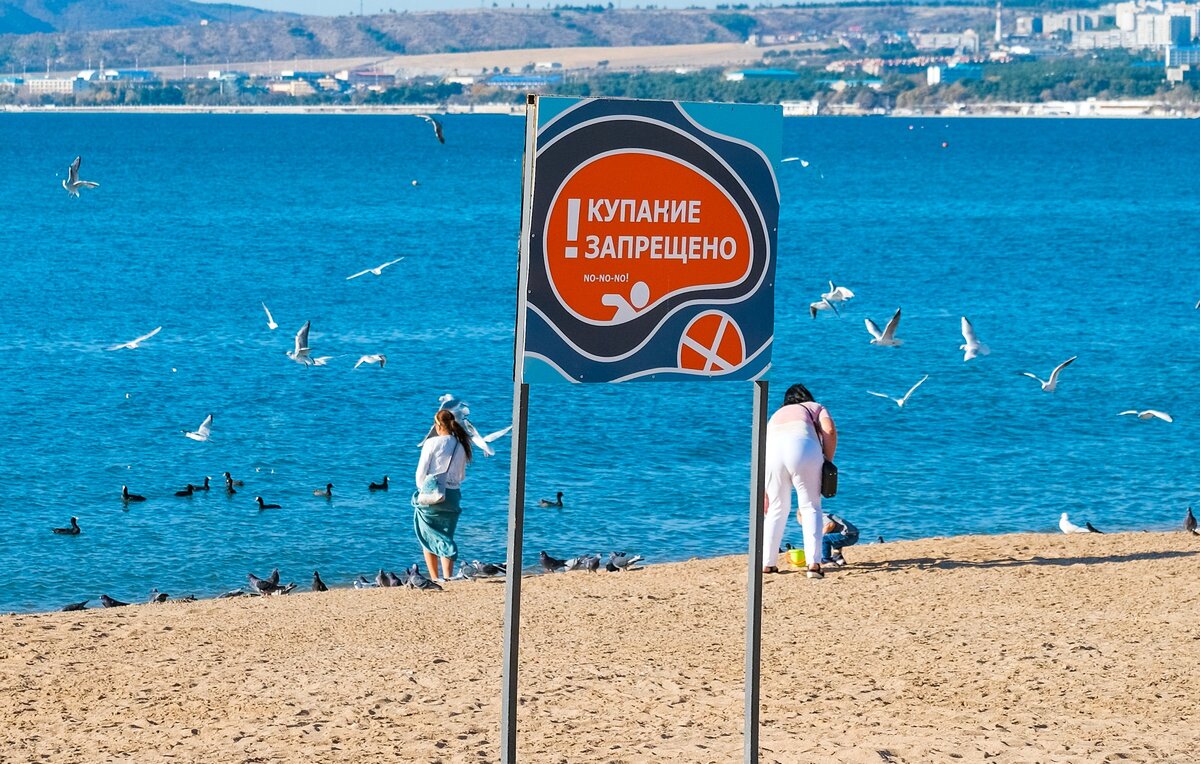 Почему на центральном пляже Геленджика запрещено купаться. Причину нашёл по запаху
