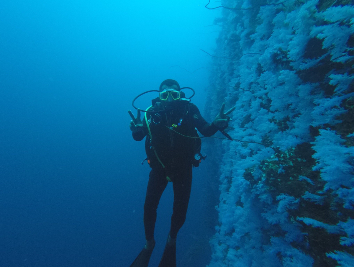 подводная стена в океане. стена по дну океана. стена в океане. стена в океане. подводная дорога бимини.
