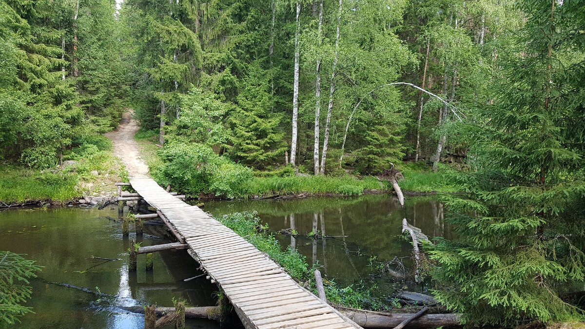 Мост через реку Волчья