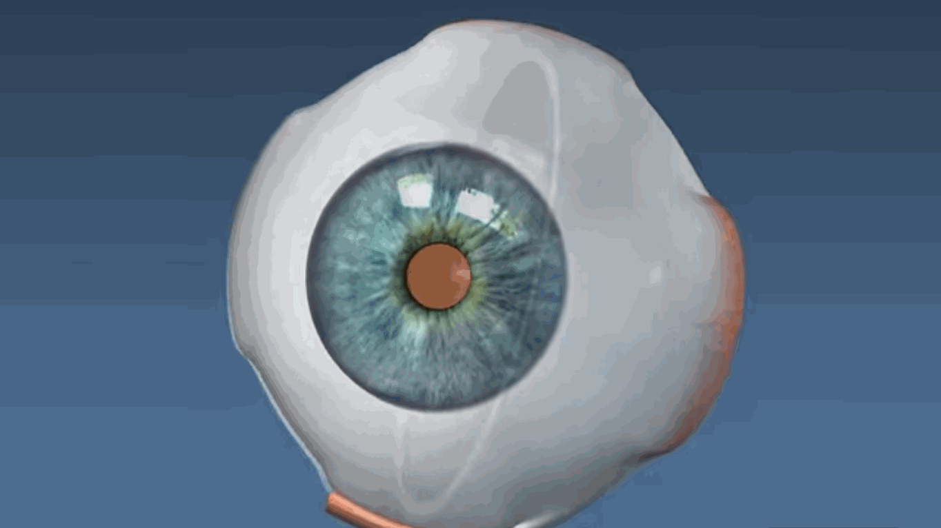 Daniel B Goldberg (Dove Medical Press)