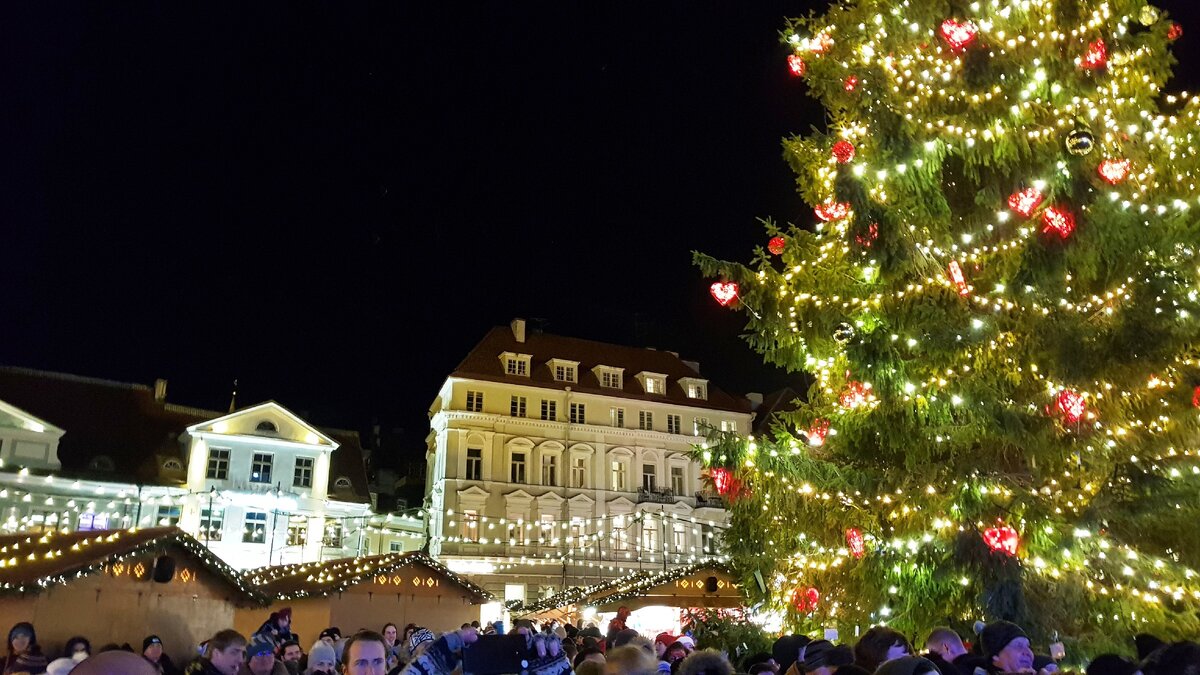 В ожидании Нового года
