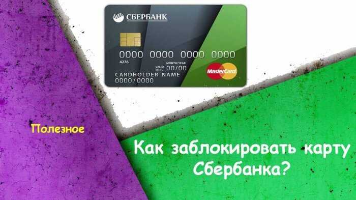 Фото предоставлено сайтом http://idco.ru/ 