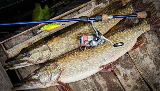 Ну не мечта ли)