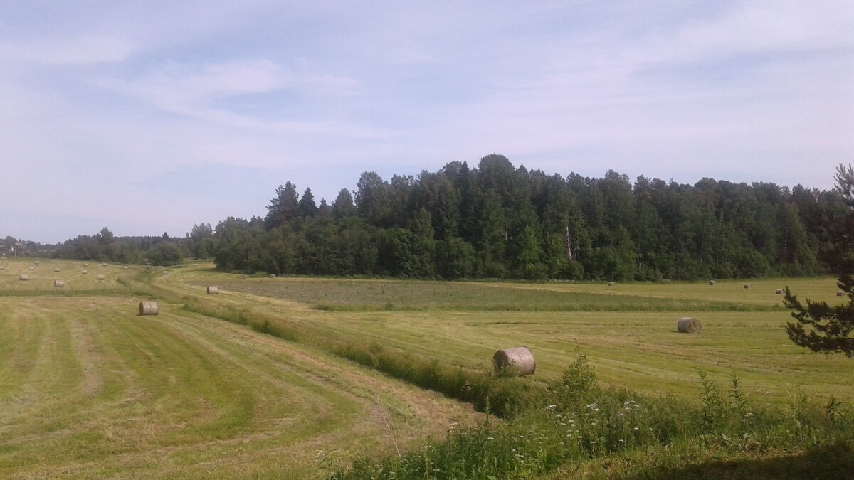 фото из личного архива (Карелия) 