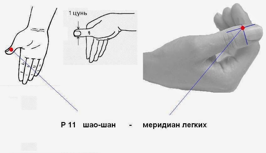 Расположение точки Шао-Шан на руке