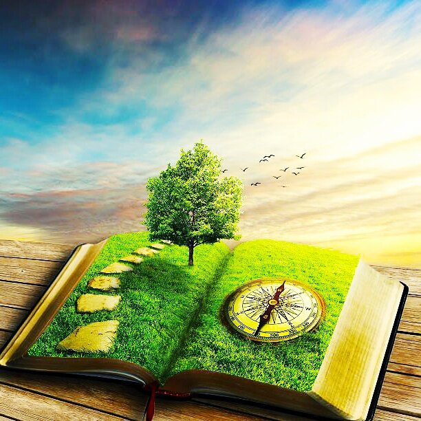 Ещё одна картинОЧКА