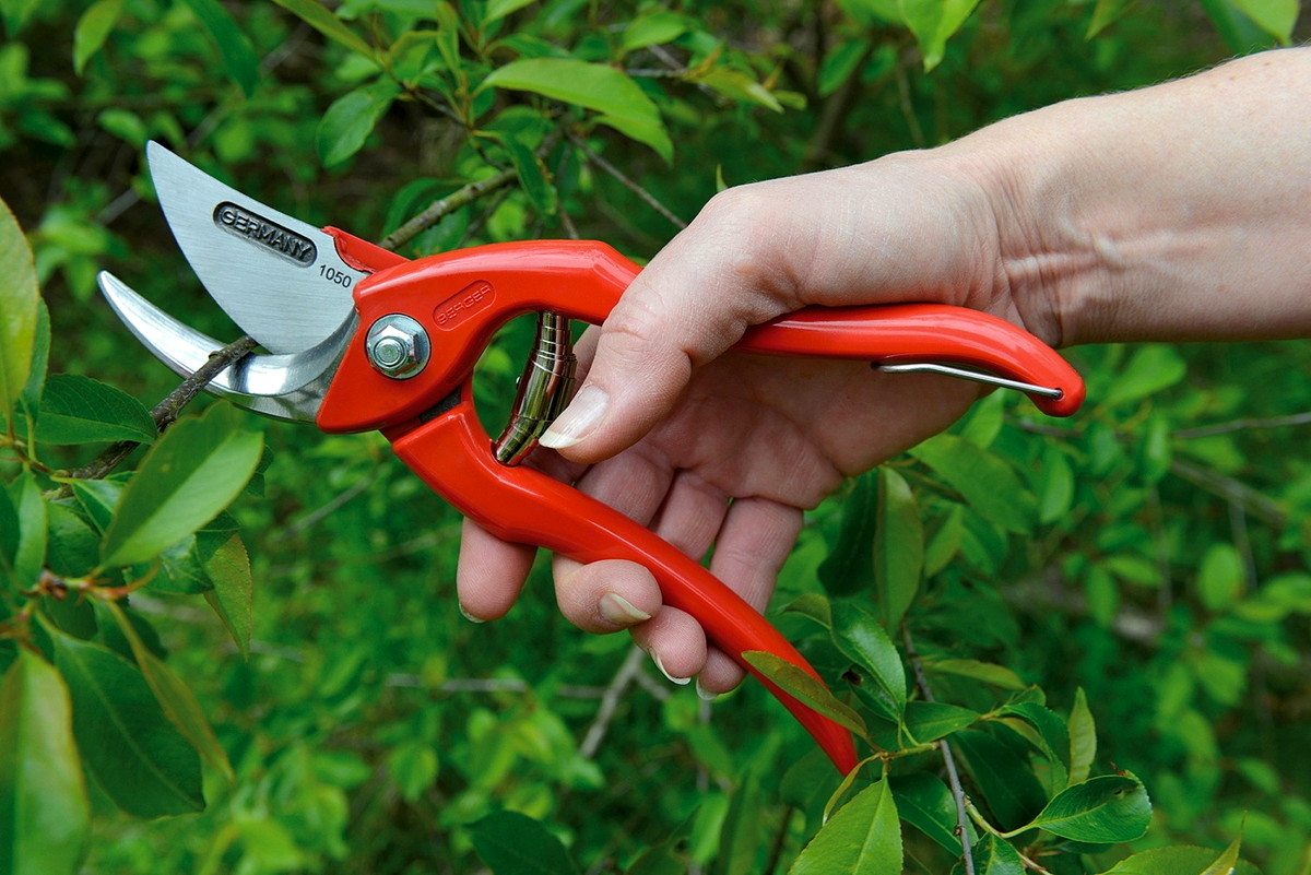 Обрезка кустарников инструмент. Секатор Садовая ножница. Секатор pruning Shears. Секатор Фалько 8. Секатор Berger.