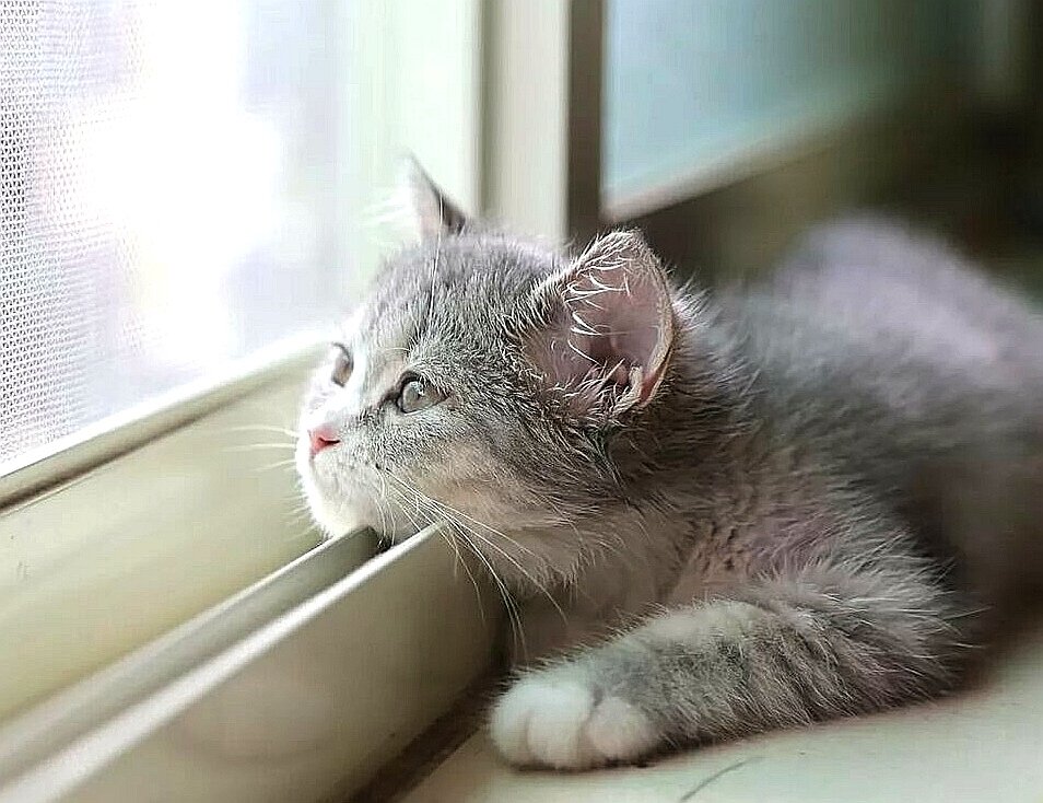 Чем же заняться? 