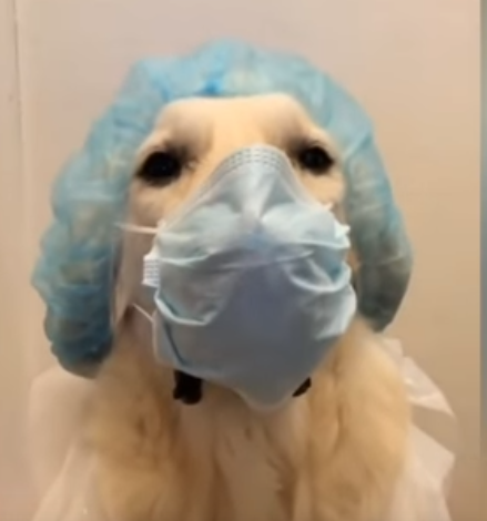 Фото взято из свободного доступа в сети Интернет.