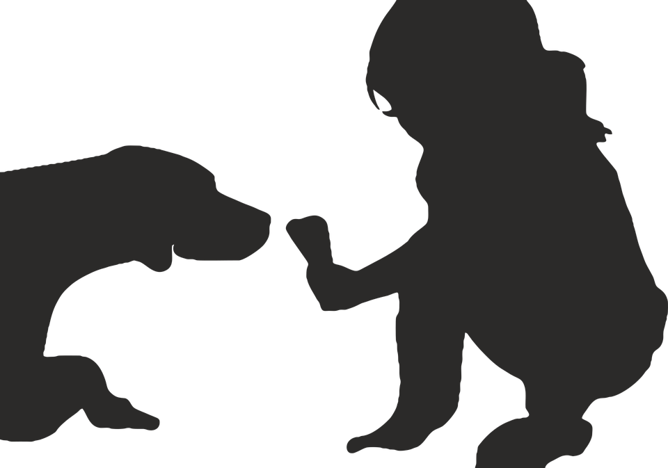 pixabay