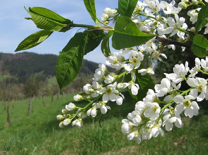 Источник фото: yandex.ru