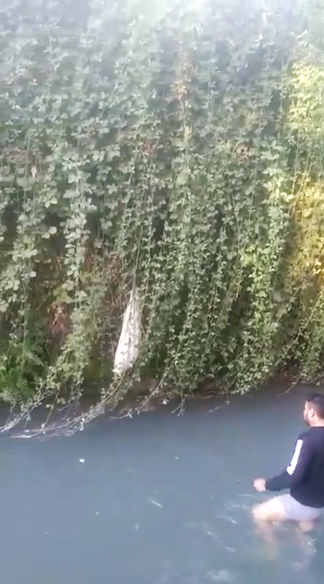 Одни спустился в реку, другие остались ждать на берегу