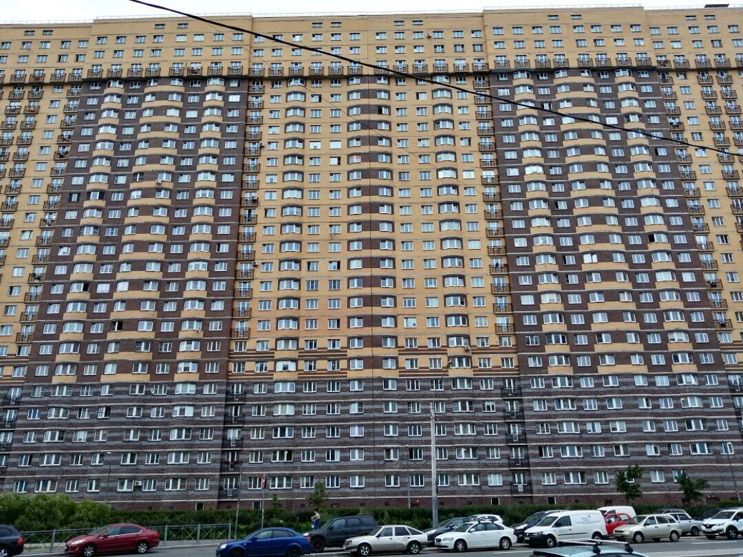 Дом муравейник в санкт петербурге