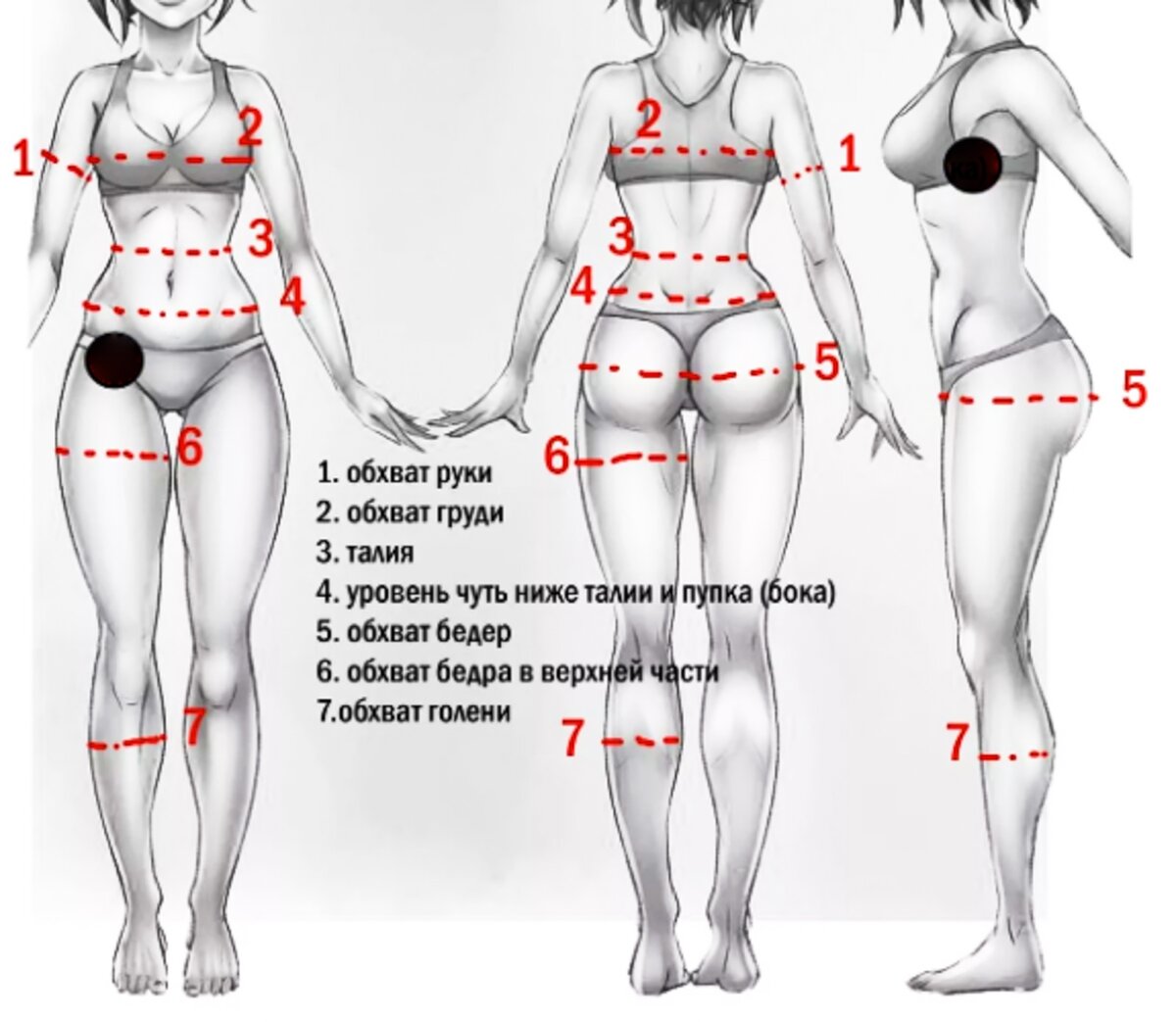 средний обхват груди у женщин фото 48