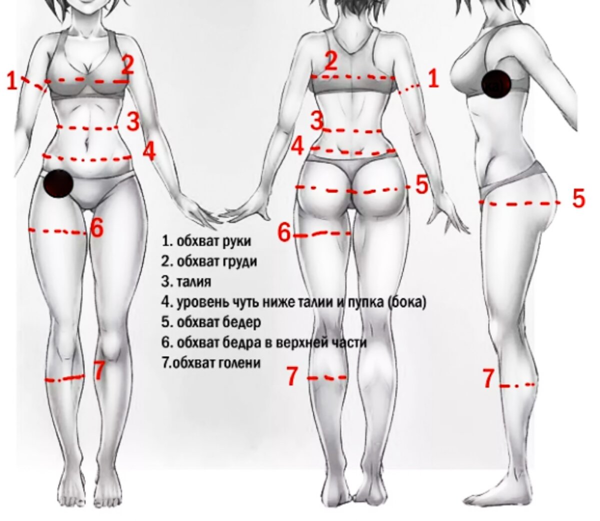 обхват груди и талии в с размере фото 43