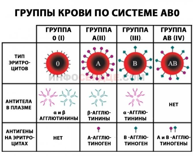 В чем разница между положительной и отрицательной