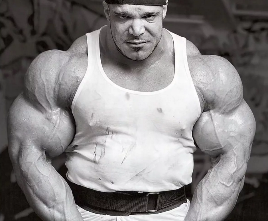 фото из открытых источников