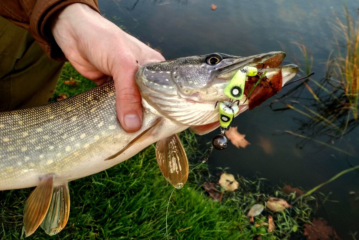 Флюорокарбоновый поводок