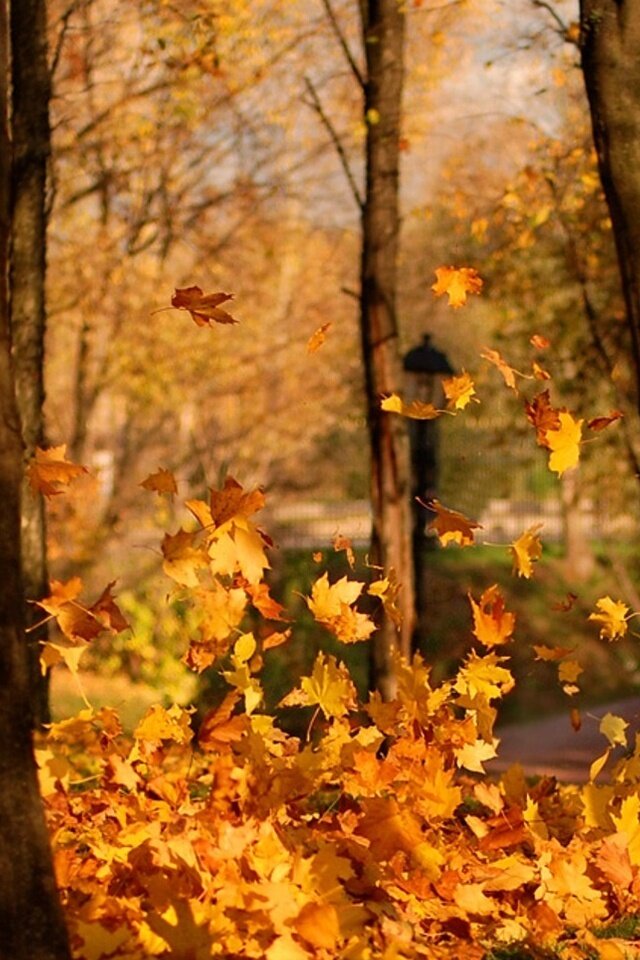 Прекрасная, но грустная пора...