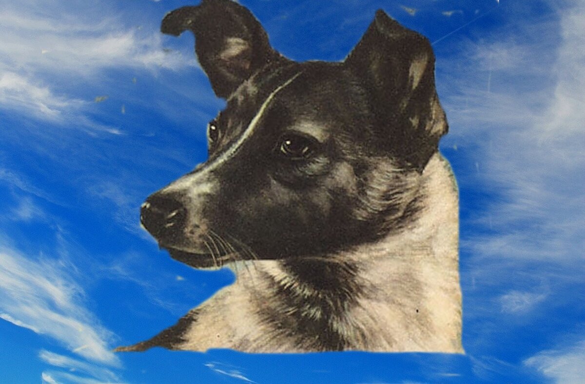 Это все, что осталось: памятник, марка, изображение на пачке сигарет