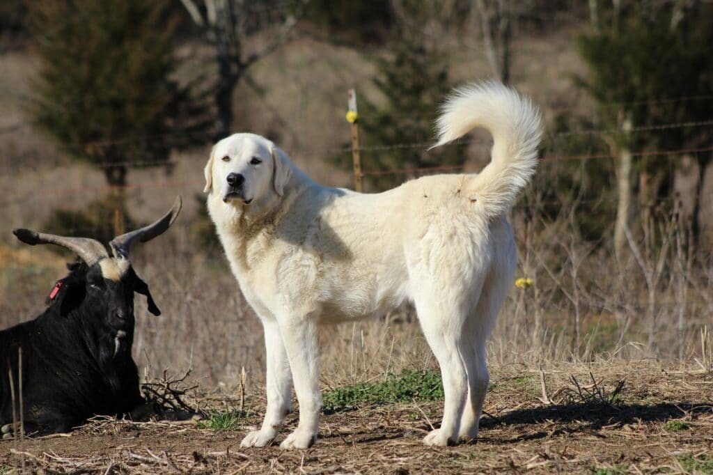 взято с яндекс картинки